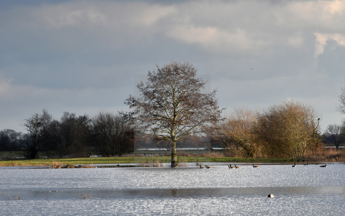 "Landscape by flooding" stock image