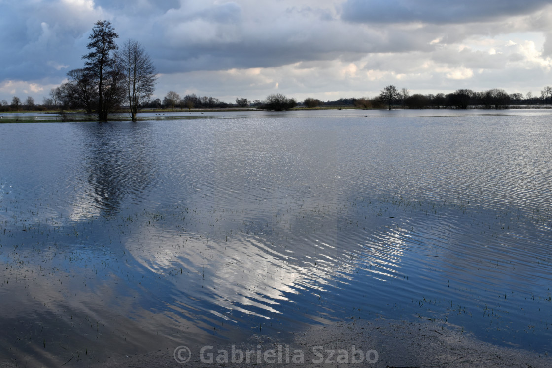 "Landscape by flooding" stock image