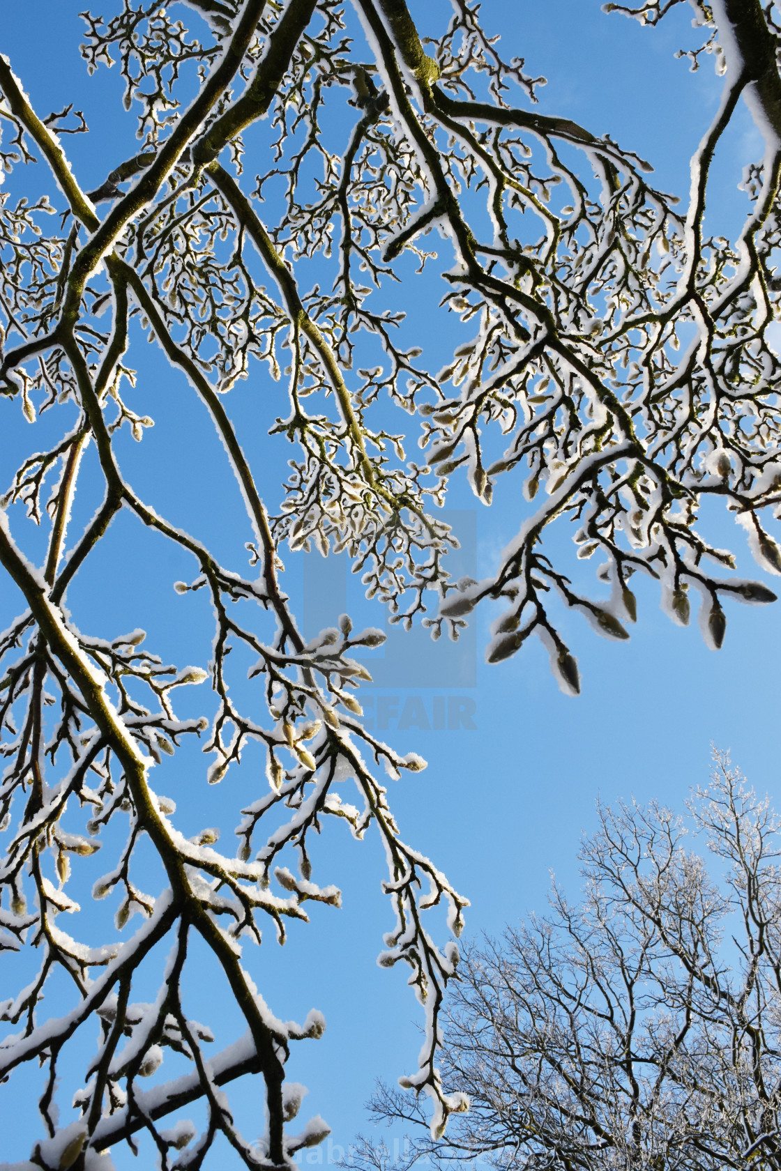 "winter in the spring" stock image