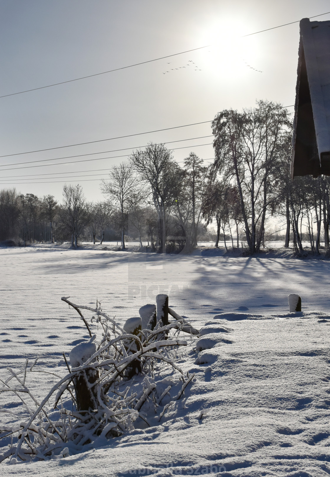 "snowy landscape" stock image