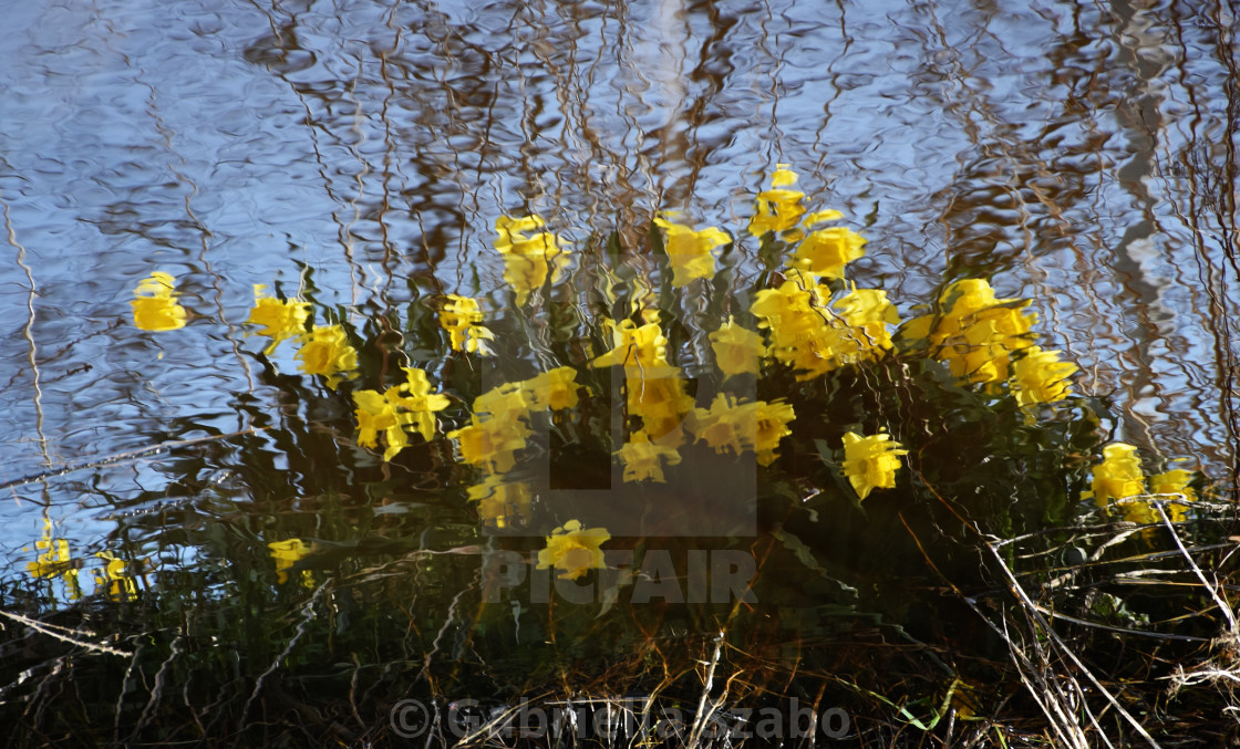 "reflection" stock image