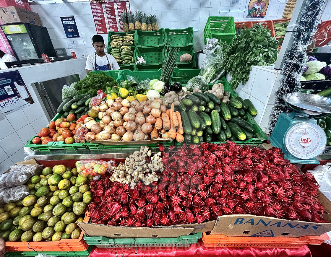 "Abundance, Panama City" stock image