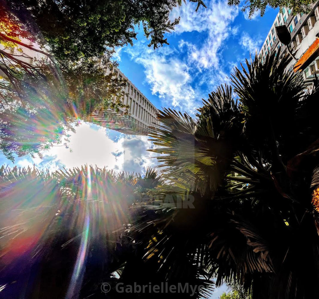 "Contrasts in a City Park, Parque Omar Torrijos, Panama City" stock image