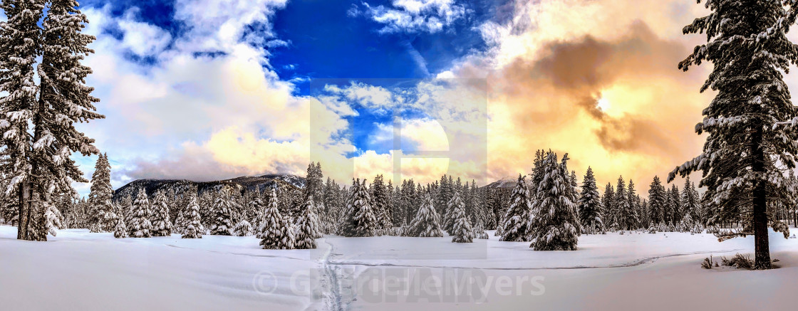 "A Morning Snow Awakening, 2023" stock image