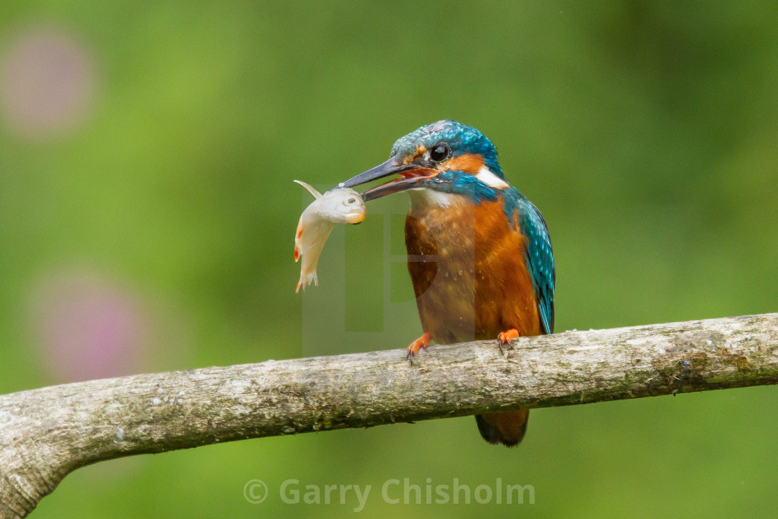 "Been fishin'" stock image