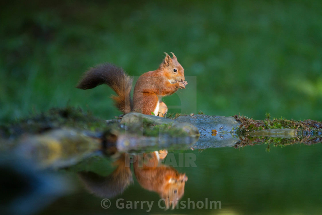 "Tranquil" stock image