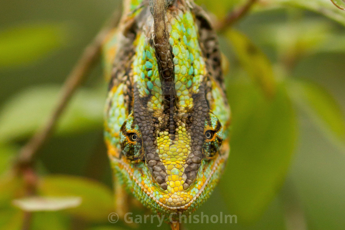 "Eyes on you" stock image