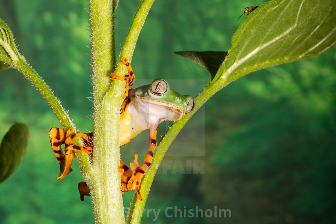 "The lookout" stock image