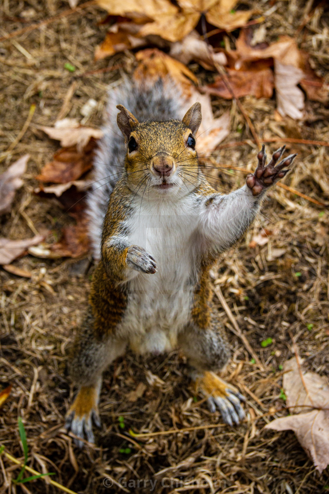 "High Five..." stock image