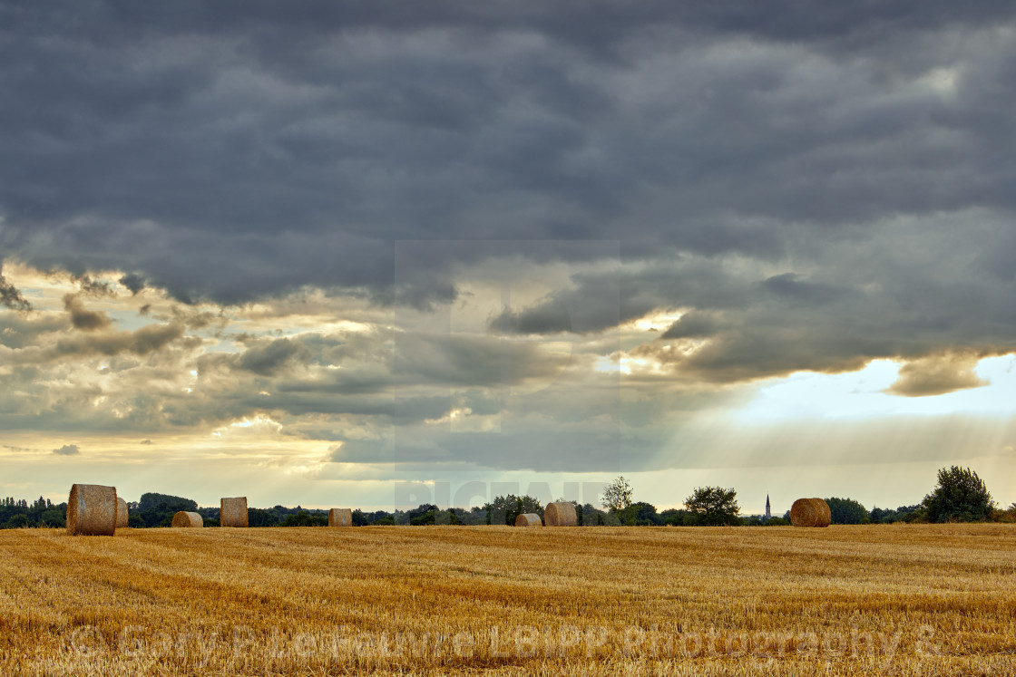 "Rolls of Straw" stock image