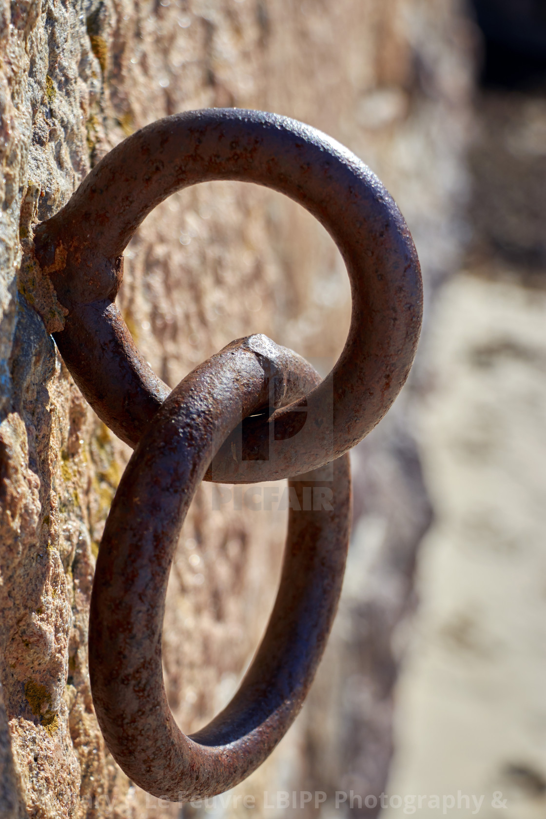 "Rusty Harbour Wall Rings" stock image