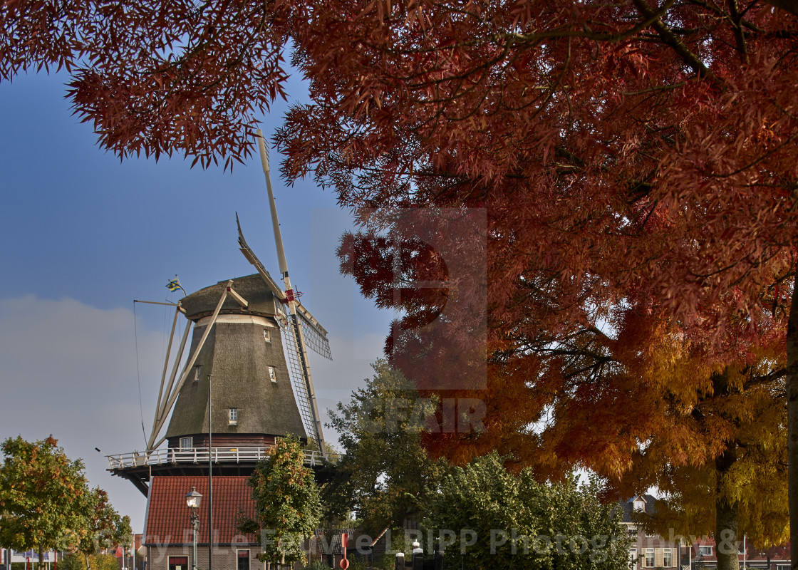 "Windmill in Amsterdam" stock image