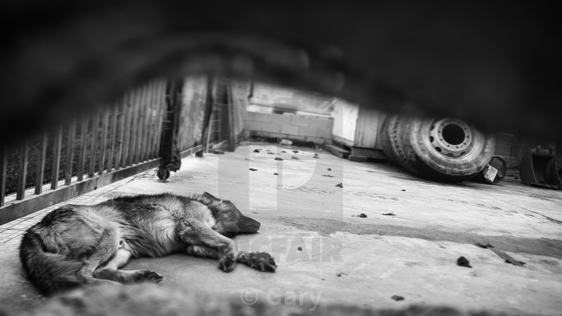 "Compound" by Gary - £12.40 "Compound" stock image