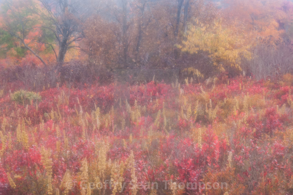 "Appalachian Autumn" stock image