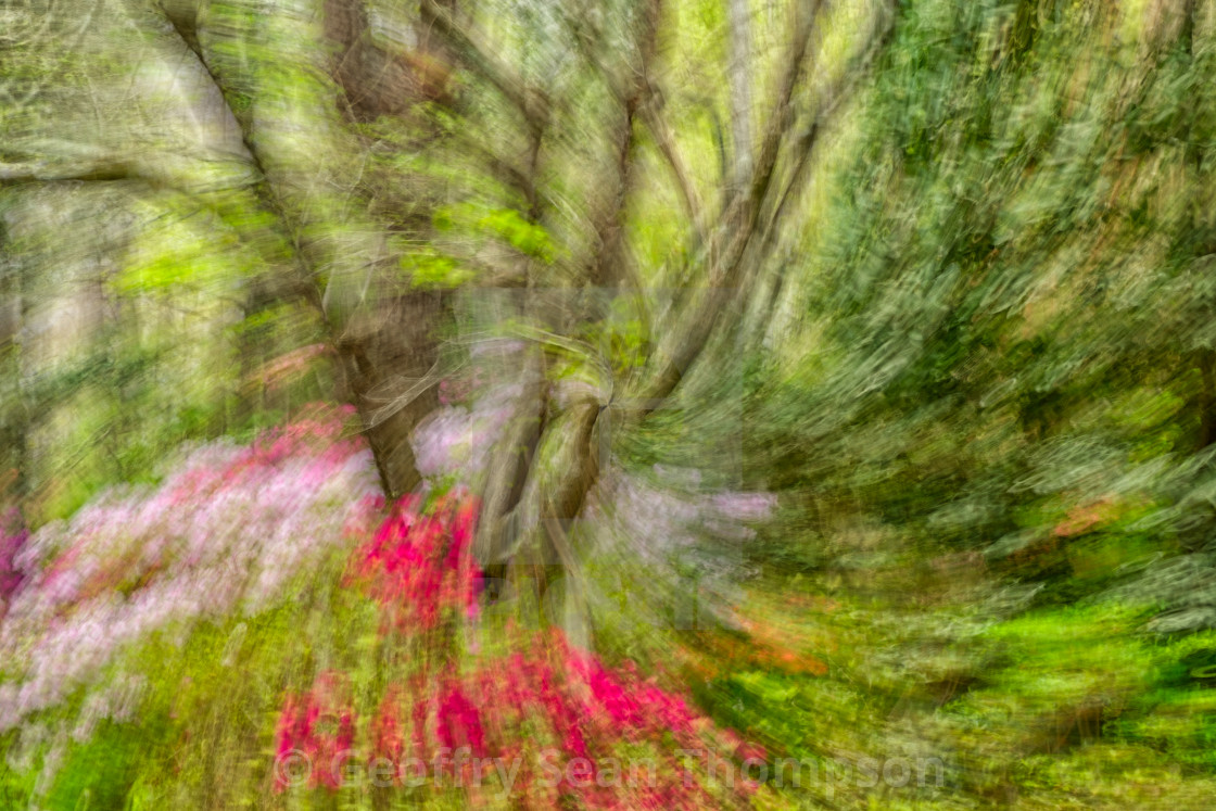 "Spring Abstraction" stock image