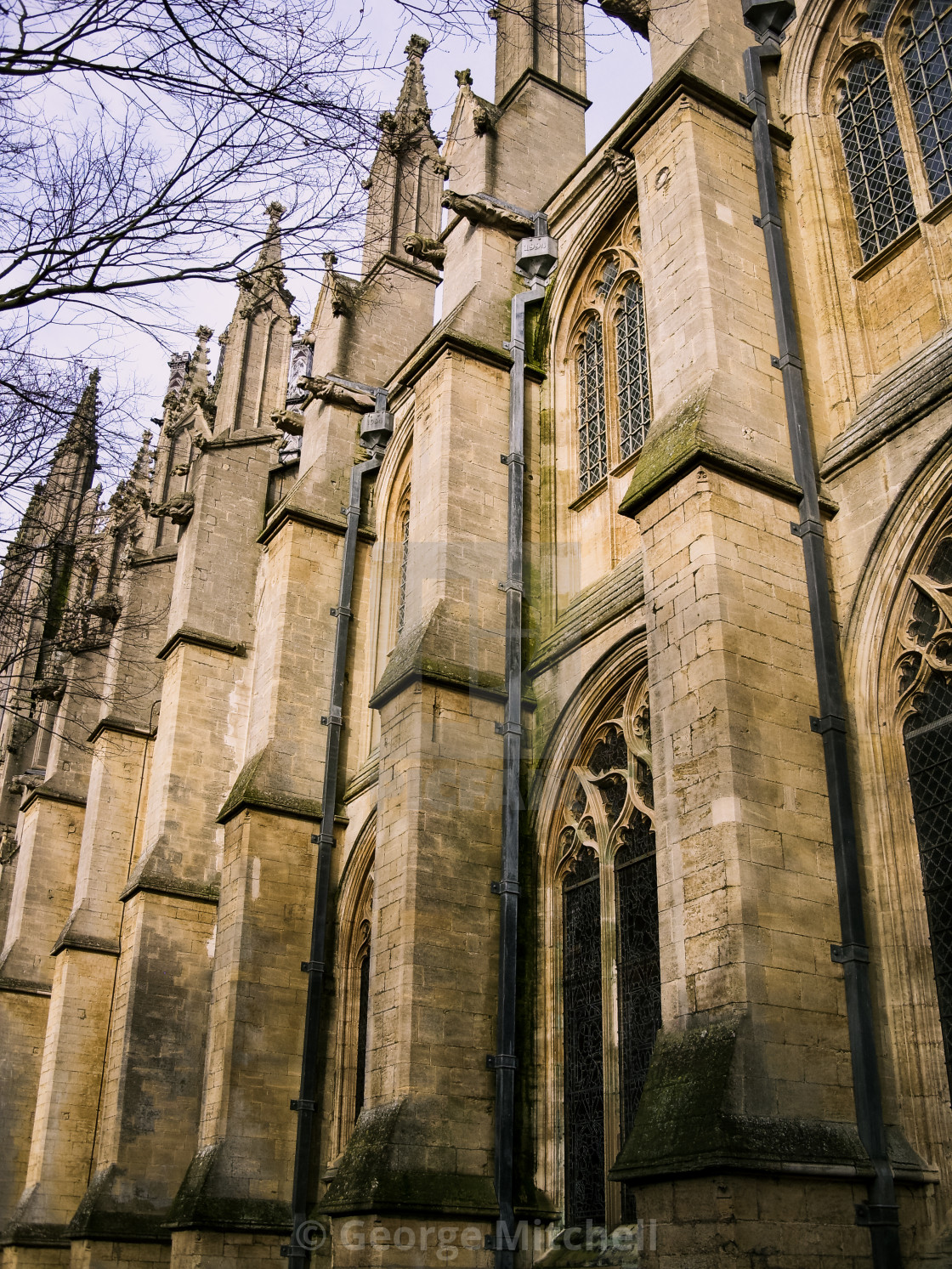 "Ely Cathedral" stock image