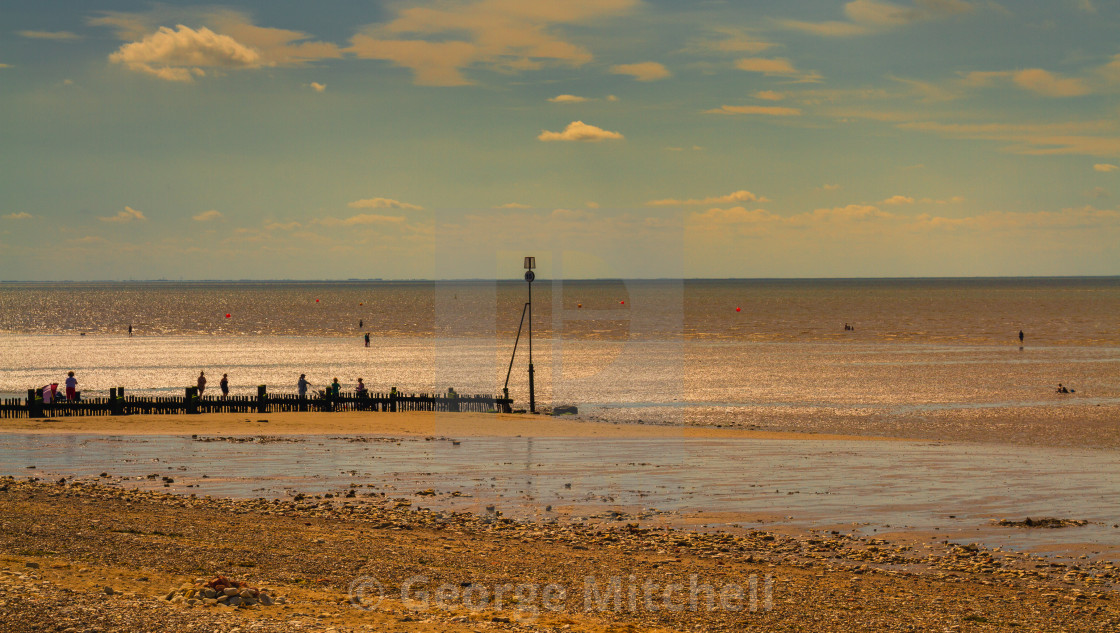 "Golden Hour" stock image