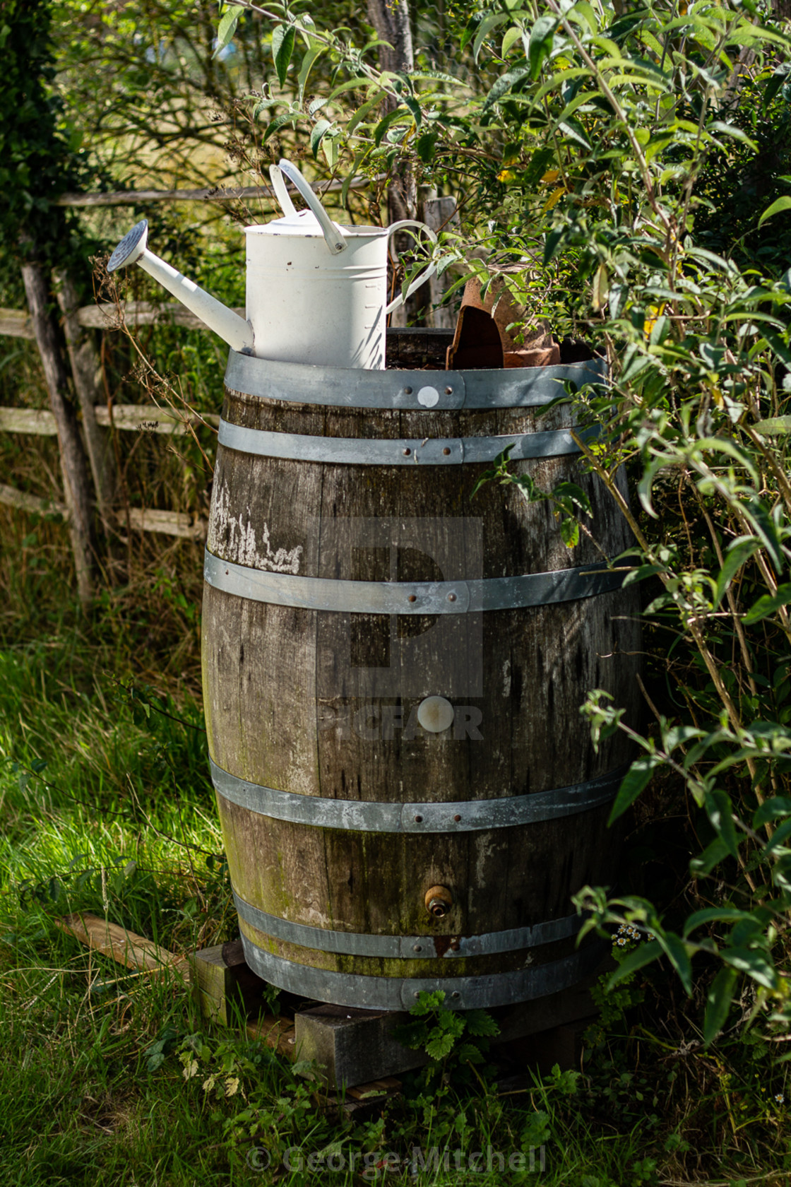 "Oak Barrel" stock image