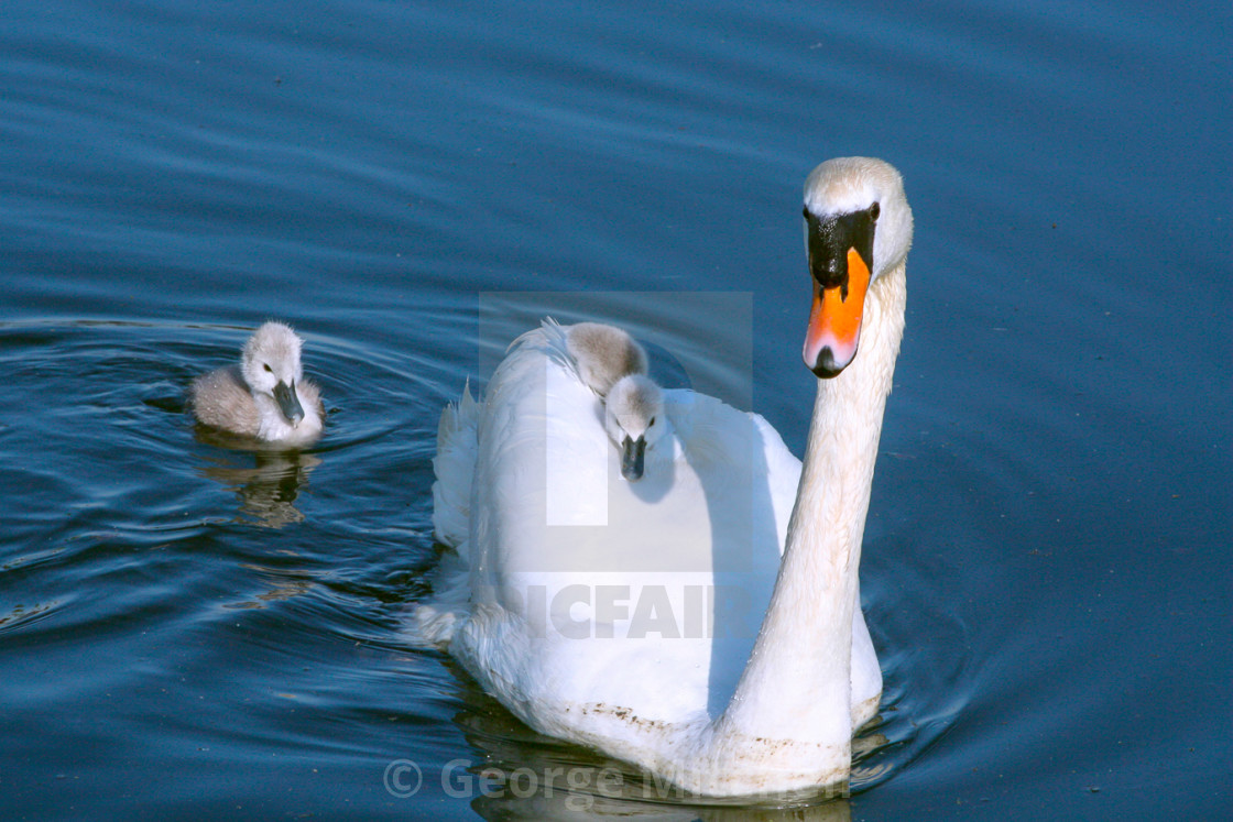 "#UWDAY Hitching a lift" stock image