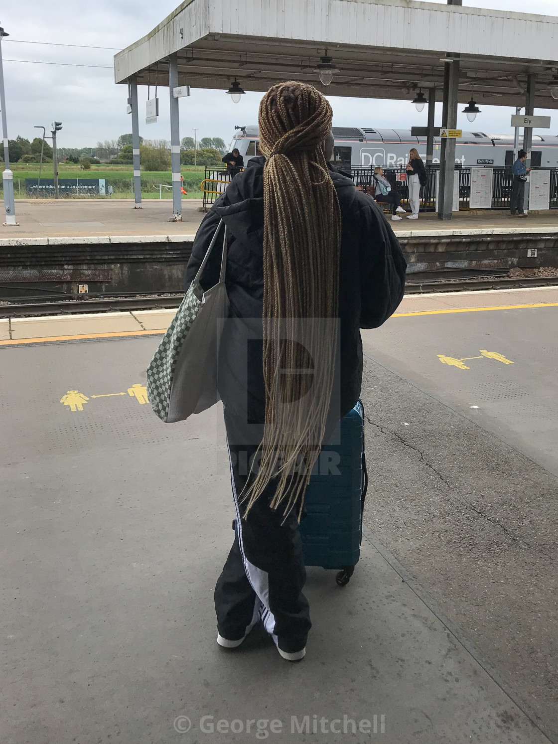 "Dreadlocks Hairstyle" stock image