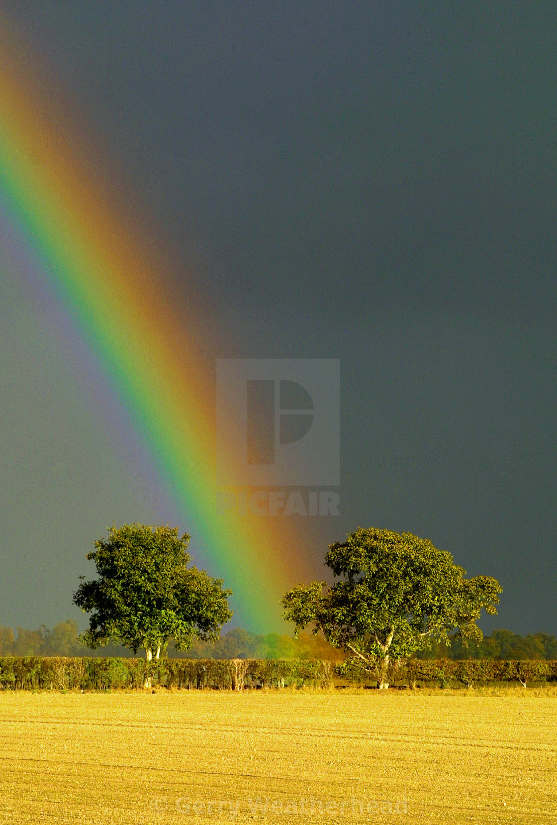 "Pot of Gold" by Gerry Weatherhead - $38.47 "Pot of Gold" stock image