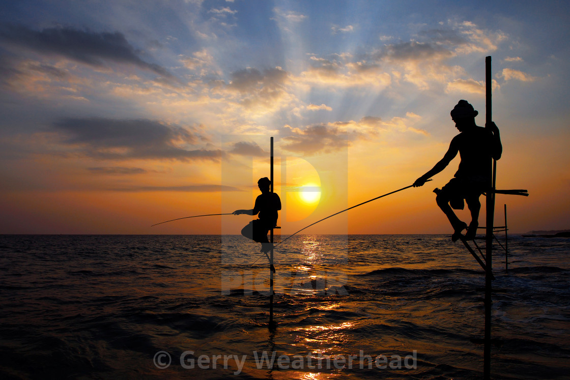 "The Stilt Fishermen of Galle, Sri Lanka #2" by Gerry Weatherhead - $38.47 "The Stilt Fishermen of Galle, Sri Lanka #2" stock image