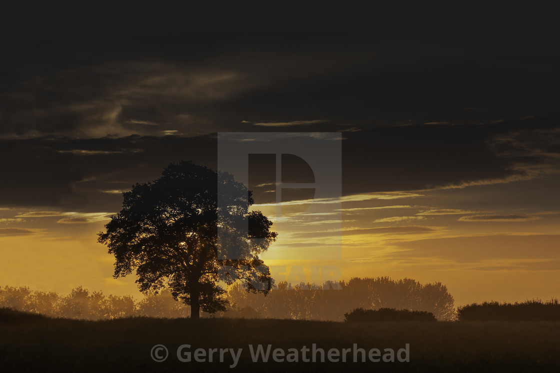 "'New day'" by Gerry Weatherhead - $38.47 "'New day'" stock image