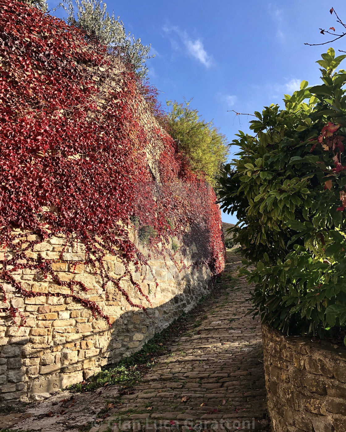 "Motovun / Montona, Central Istria, Croatia" by Gian Luca Garattoni - $11.79 "Motovun / Montona, Central Istria, Croatia" stock image