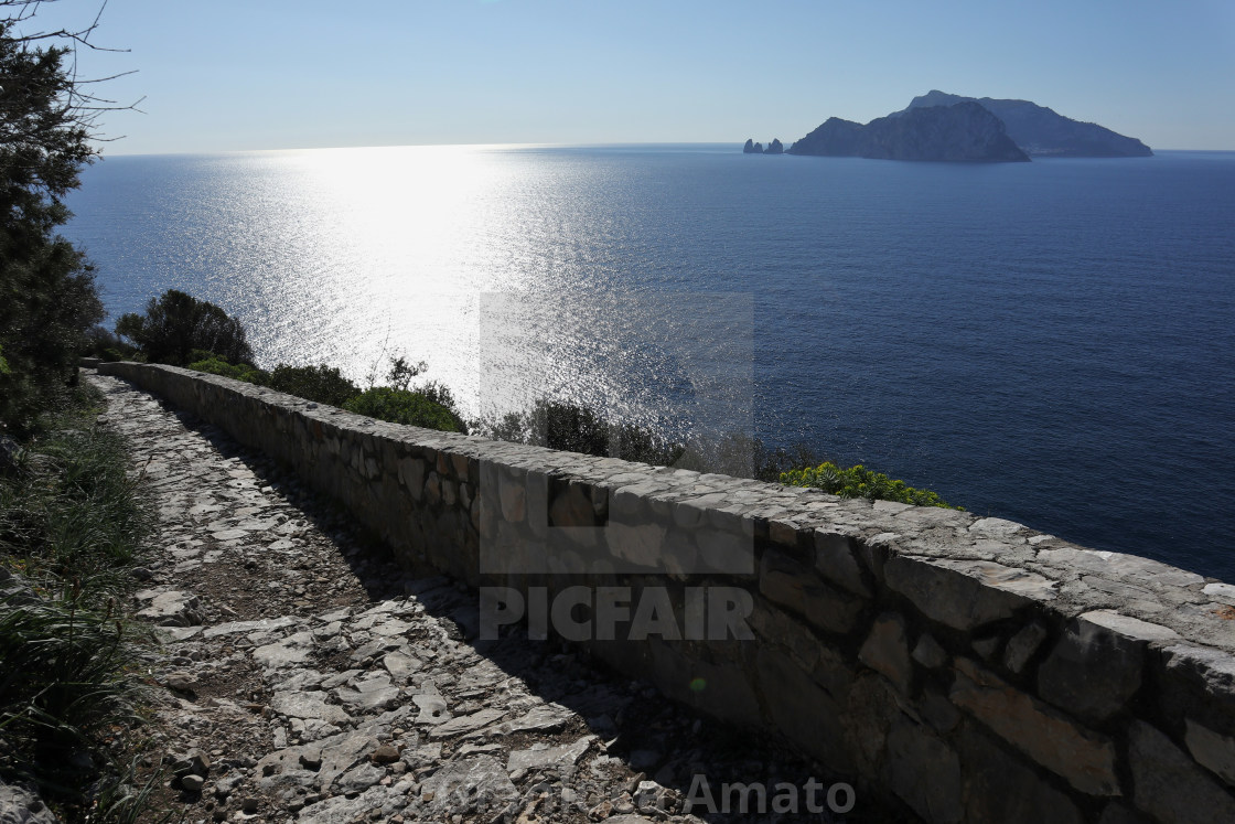"Termini - Capri dal sentiero per Punta Campanella" stock image