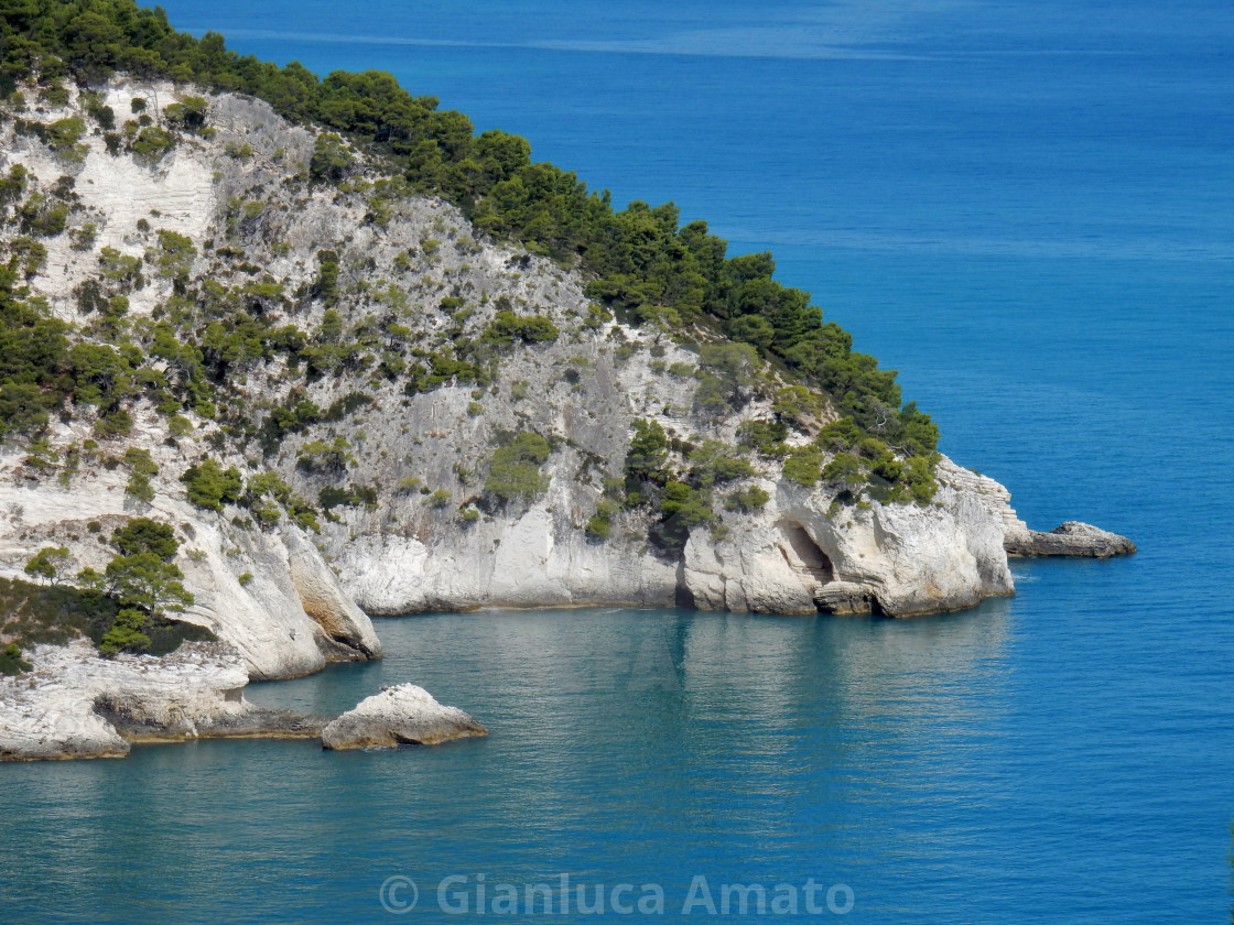 "Costa di Pugnochiuso" stock image