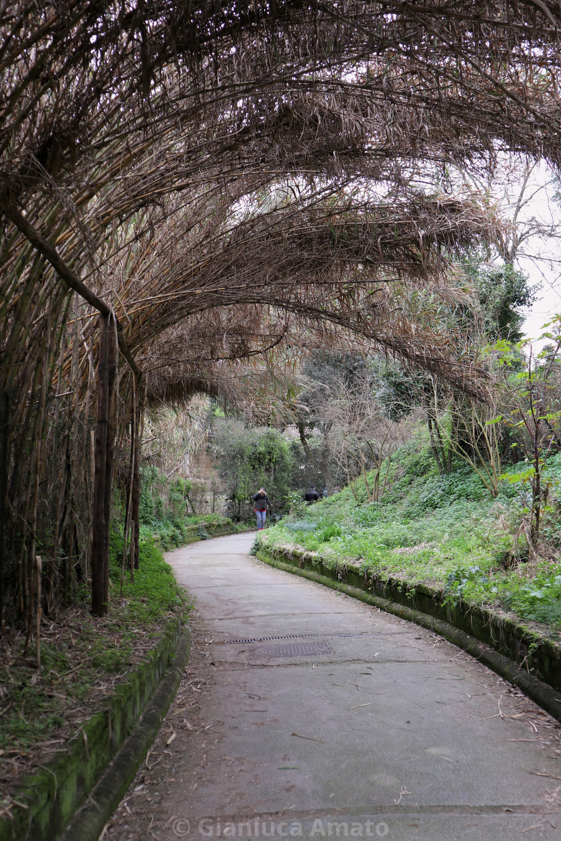 "Napoli - Vialetto di accesso alla villa imperiale di Pausilypon" stock image