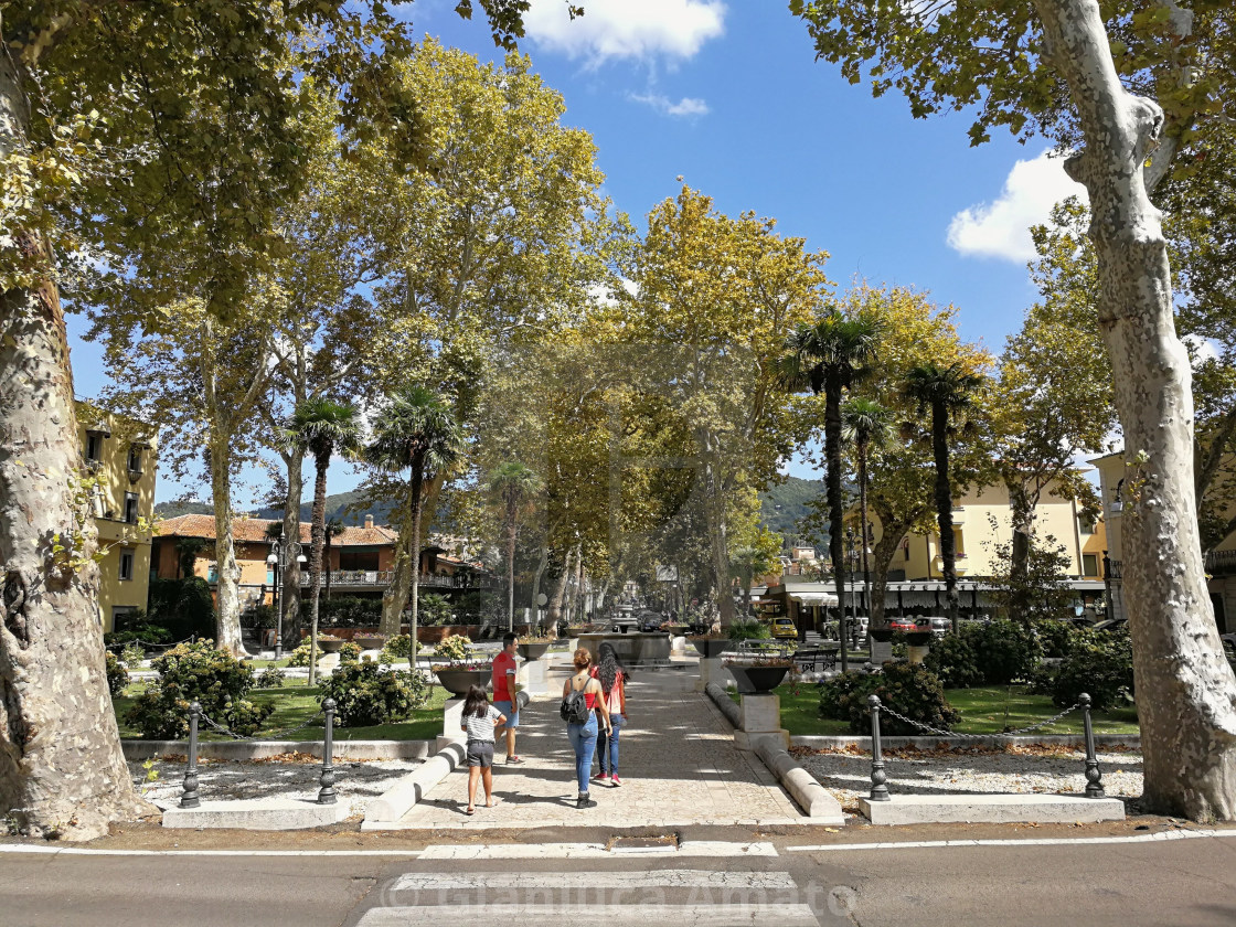 "Bolsena - Viale di platani" stock image