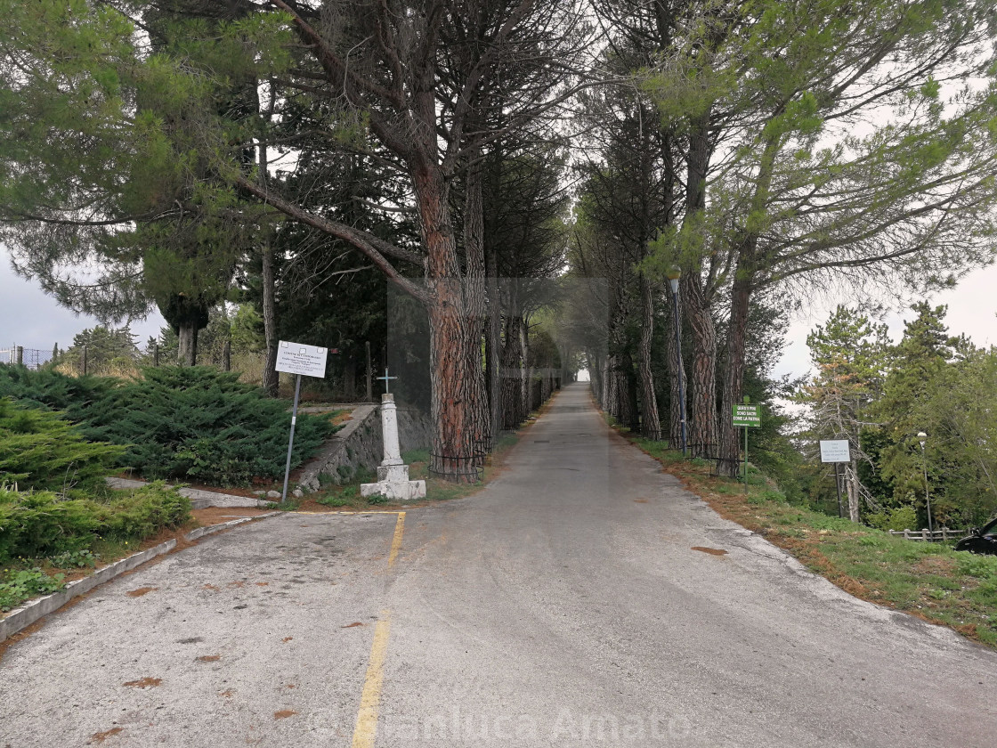 "Campobasso – Viale delle Rimembranze" stock image