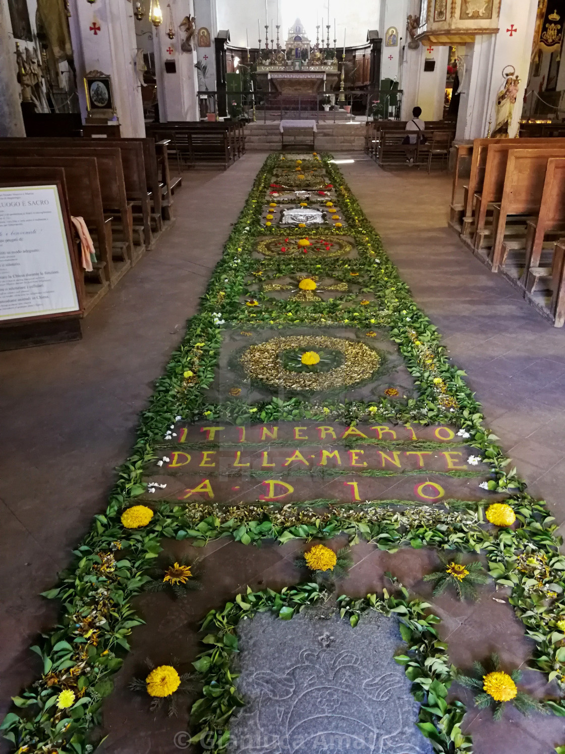 "Civita di Bagnoregio - Fiori nel Duomo di San Donato" stock image