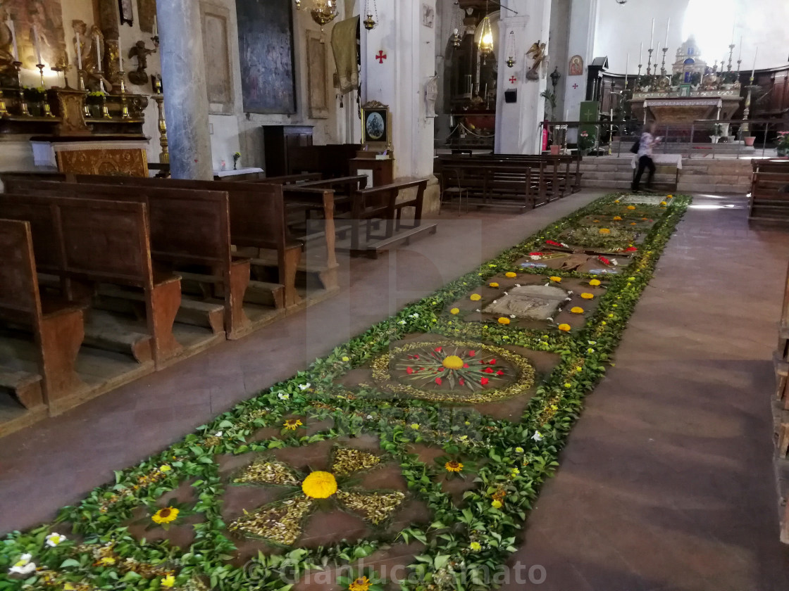 "Civita di Bagnoregio - Tappeto di fiori nel Duomo" stock image