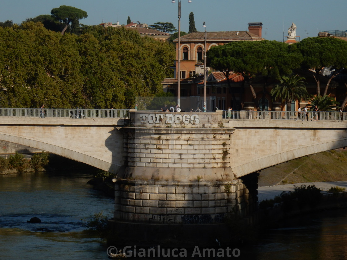 "Roma - Pilone del Ponte Garibaldi" stock image