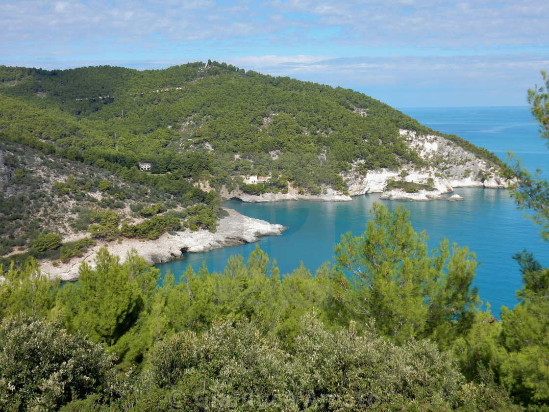 "Panorama della Baia di Pugnochiuso" stock image