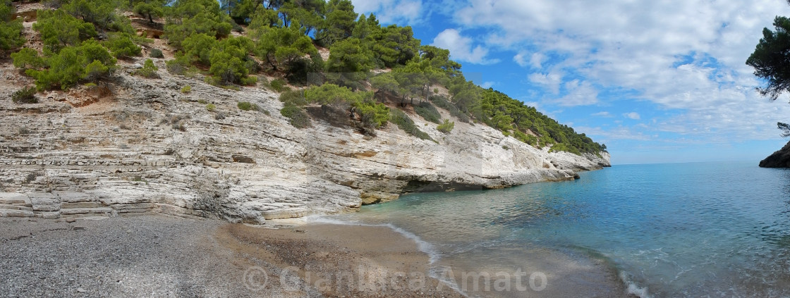 "Pugnochiuso - Panoramica di Cala della Pergola" stock image