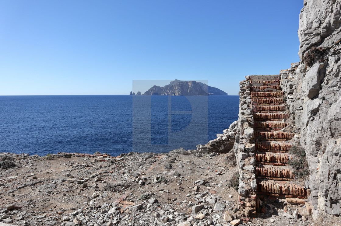 "Termini - Capri da Torre Minerva" stock image