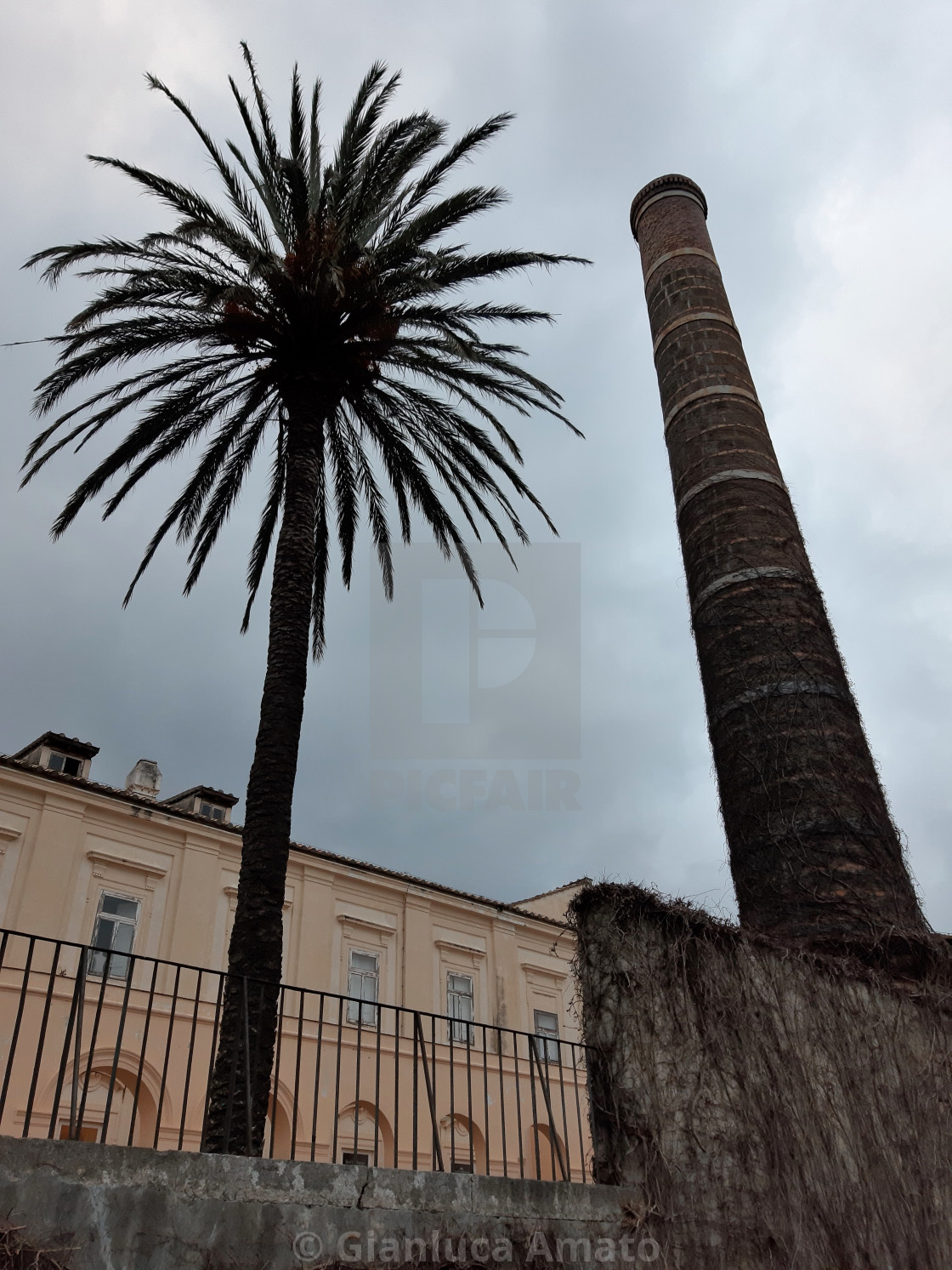 "Caserta - Ciminiera e palma al Belvedere di San Leucio" stock image