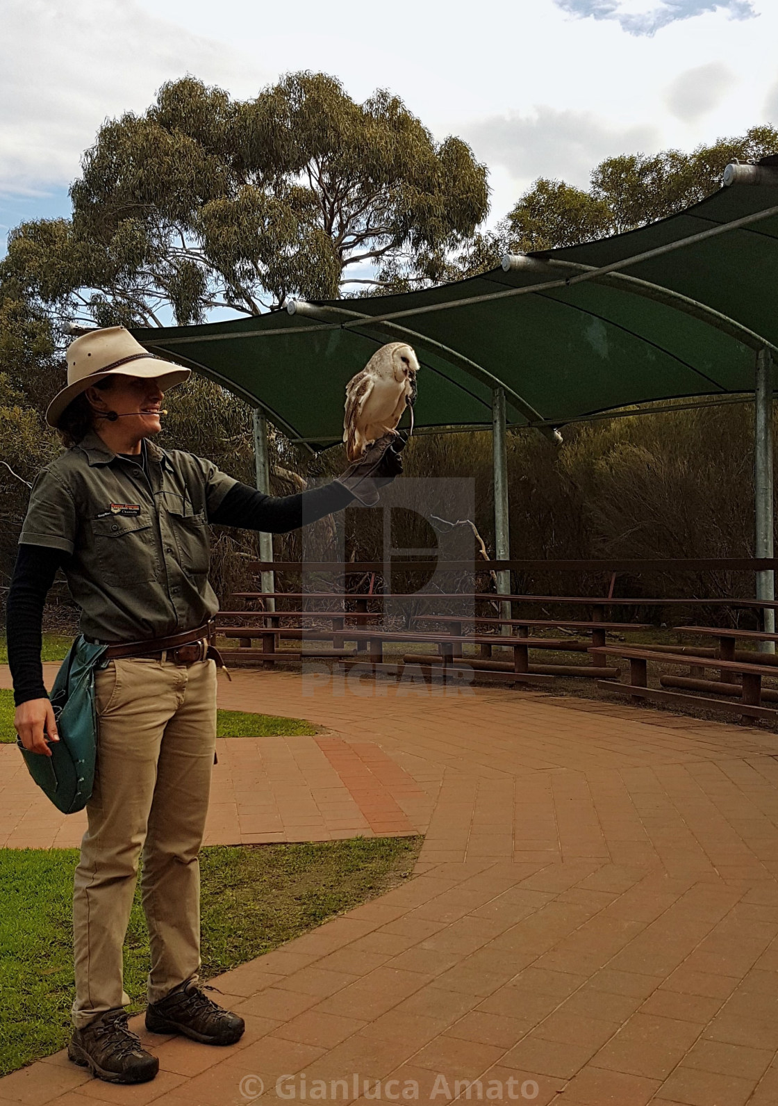 "Australia - Barbagianni del parco di Kangaroo Island" stock image