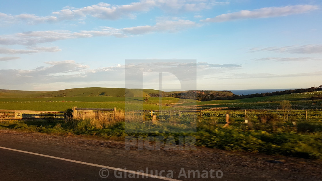 "Australia - Campagna di Cape Jervis" stock image