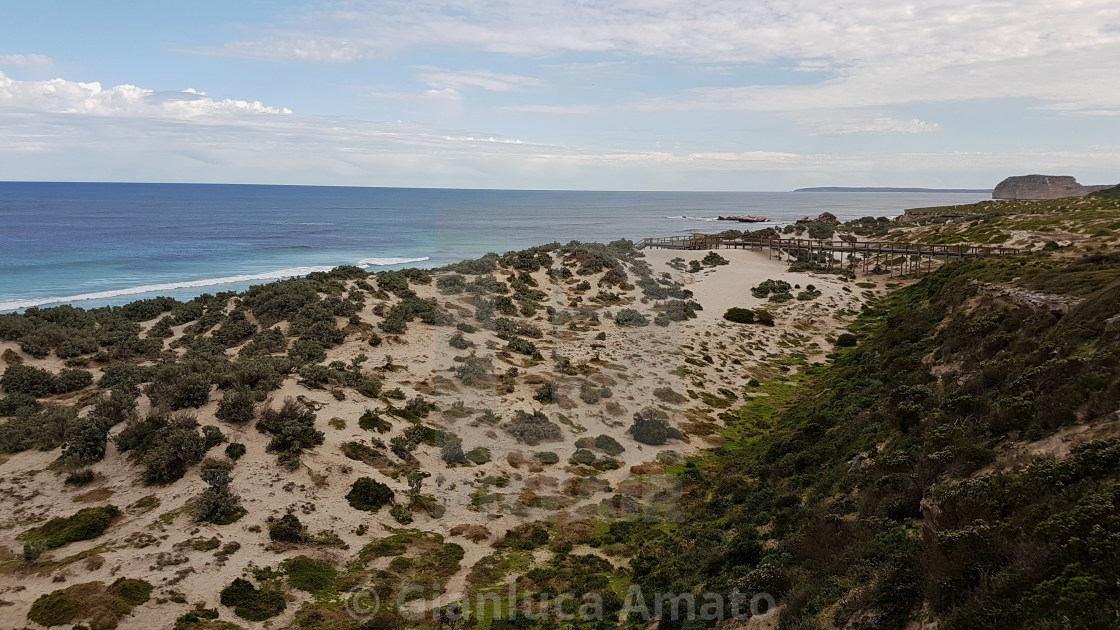 "Australia - Panorama a Seal Bay Conservation Park" stock image