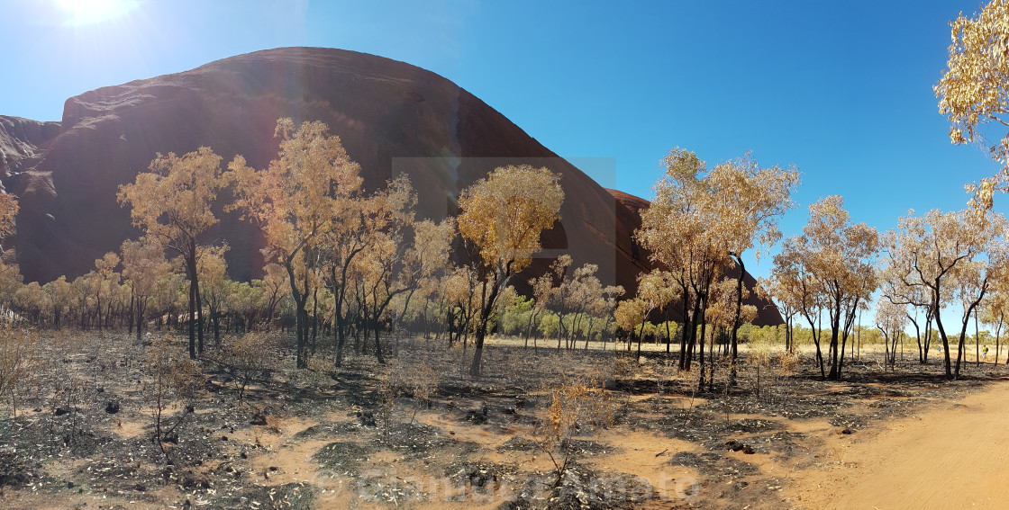 "Australia - Panoramica di Uluru" stock image