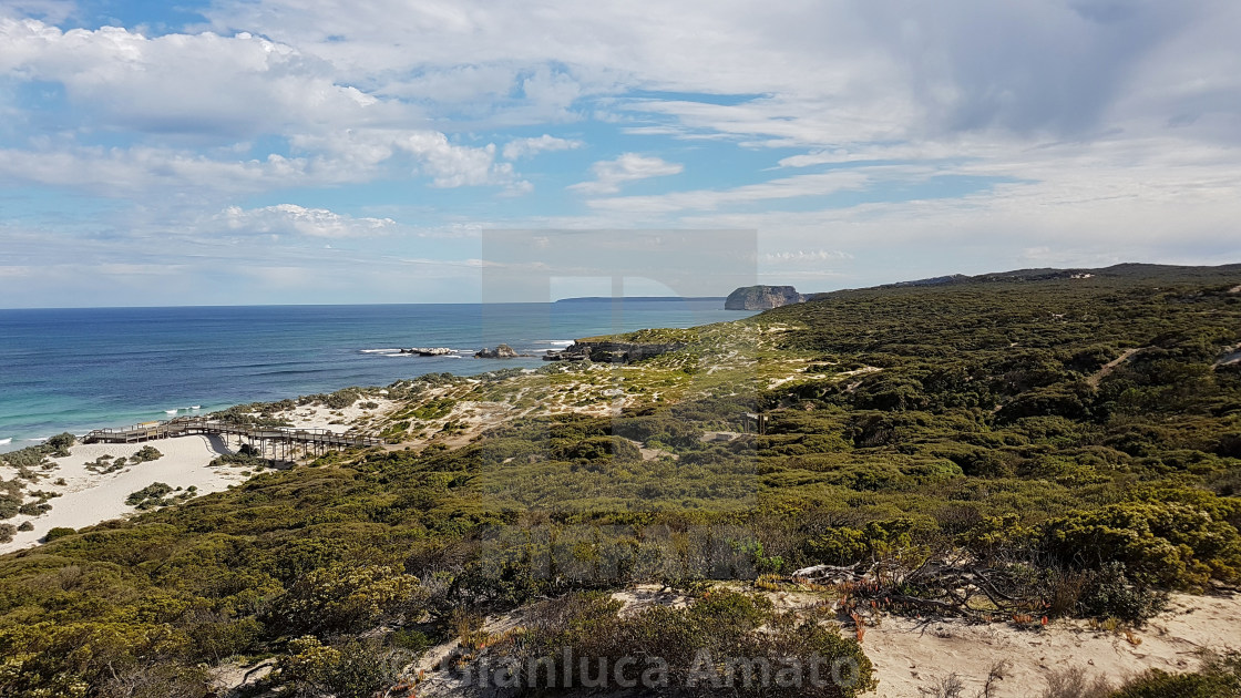 "Australia - Scorcio di Seal Bay Conservation Park" stock image