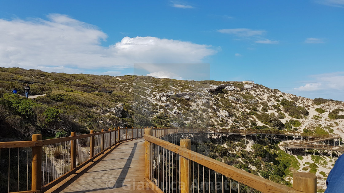 "Australia - Sentiero a Seal Bay Conservation Park" stock image