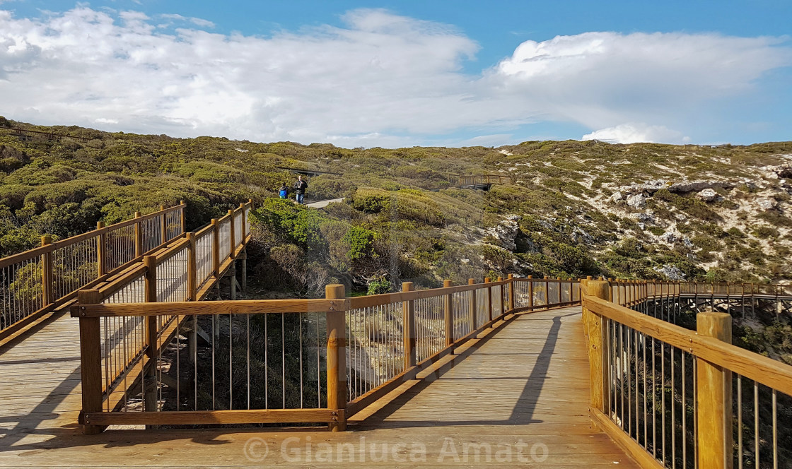 "Australia - Sentieri a Seal Bay Conservation Park" stock image