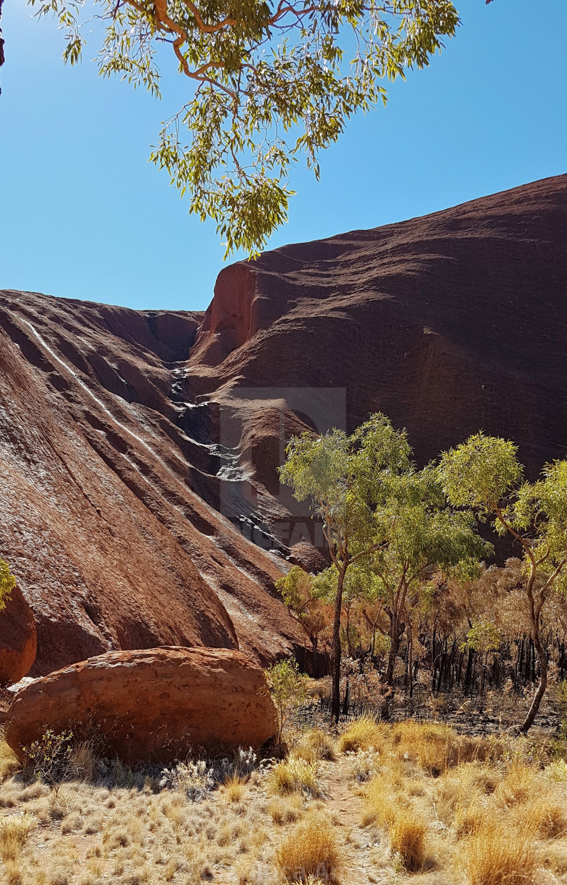 "Australia - Sentiero verso Ayers Rock" stock image