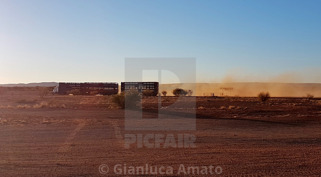 "Tir nel deserto" stock image