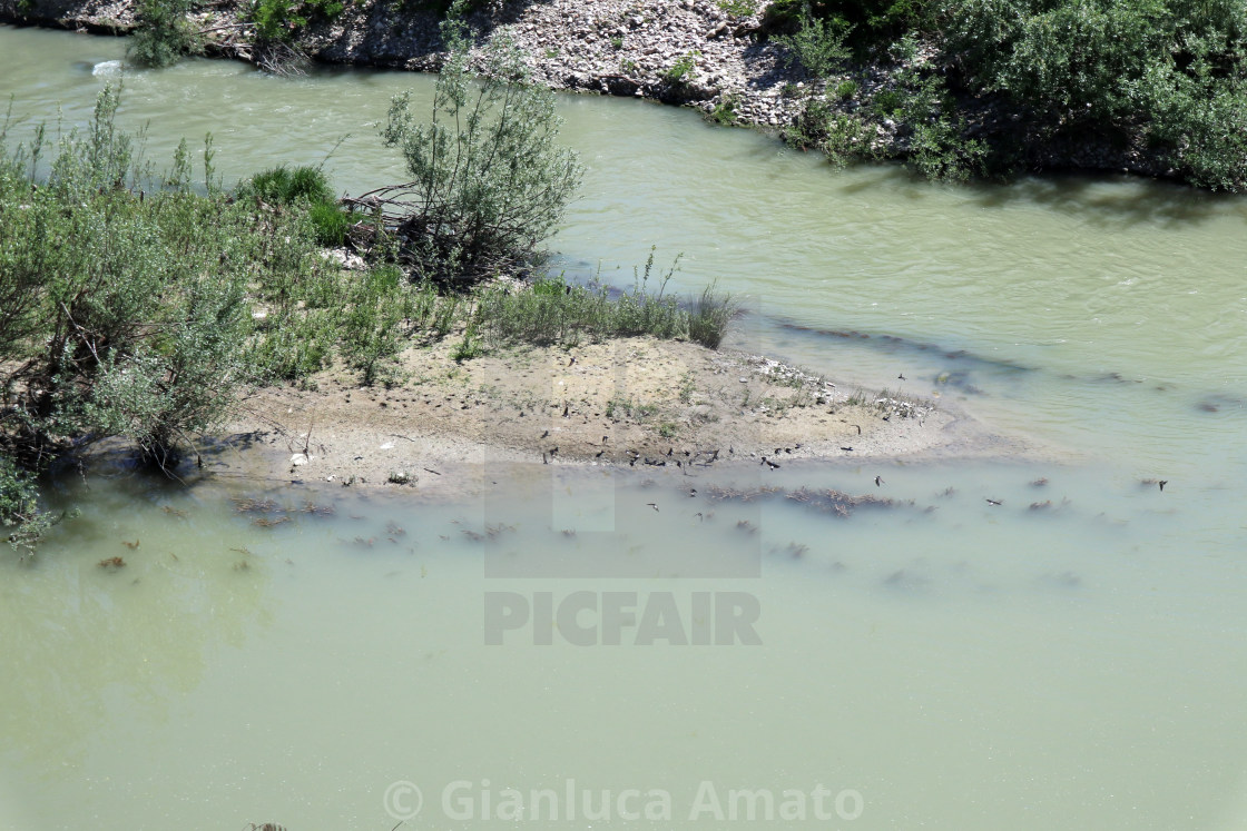 "Benevento - Balestrucci sul fiume Calore" stock image